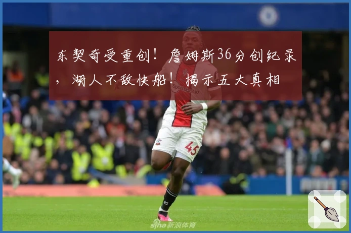 东契奇受重创！詹姆斯36分创纪录，湖人不敌快船！揭示五大真相