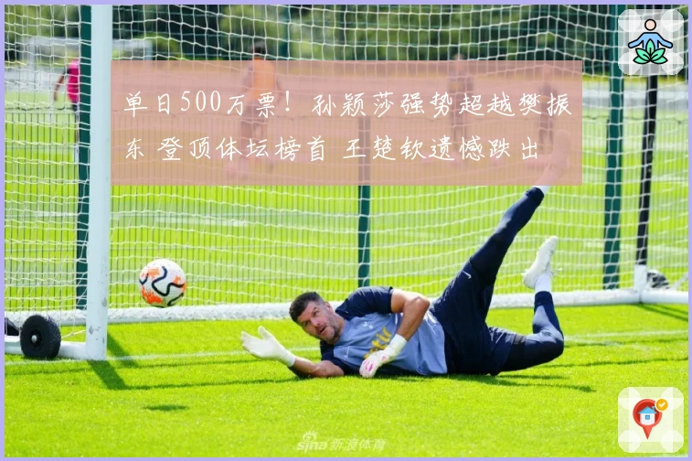 单日500万票！孙颖莎强势超越樊振东 登顶体坛榜首 王楚钦遗憾跌出前二